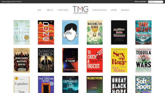 Screenshot of tridentmediagroup.com
